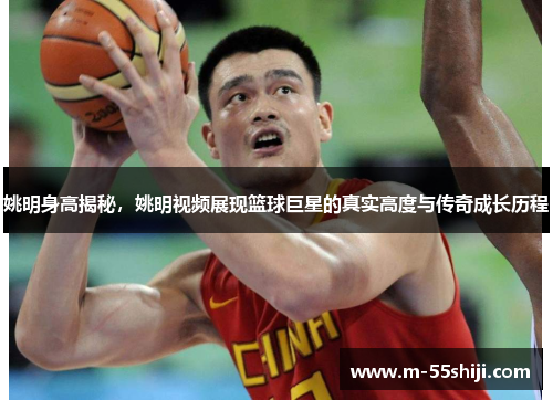 姚明身高揭秘，姚明视频展现篮球巨星的真实高度与传奇成长历程
